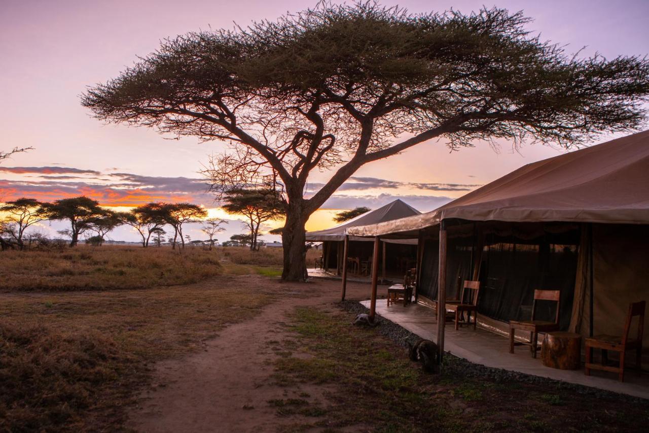 Mawe Tented Camp Serengeti Extérieur photo