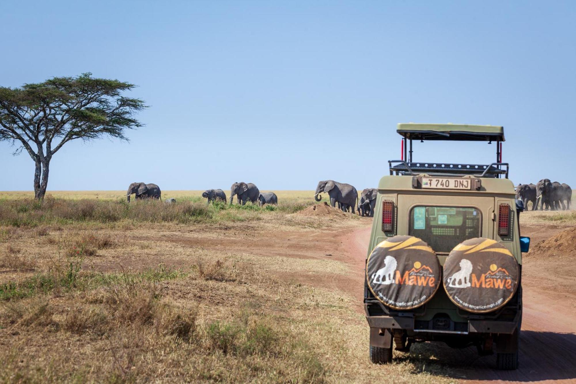 Mawe Tented Camp Serengeti Extérieur photo